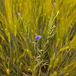 Aufrichten von Körper, Seele und Geist