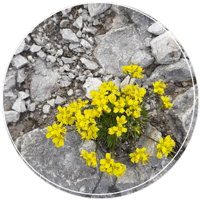 Widerstand überwinden, Schmerzen überwinden