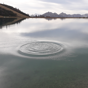 auf den Punkt bringen, Bedürfnisse erkennen mit Cranio Sacrale