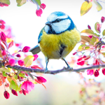 Liebe spüren Gefühle 