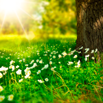 Depression Lebensfreude